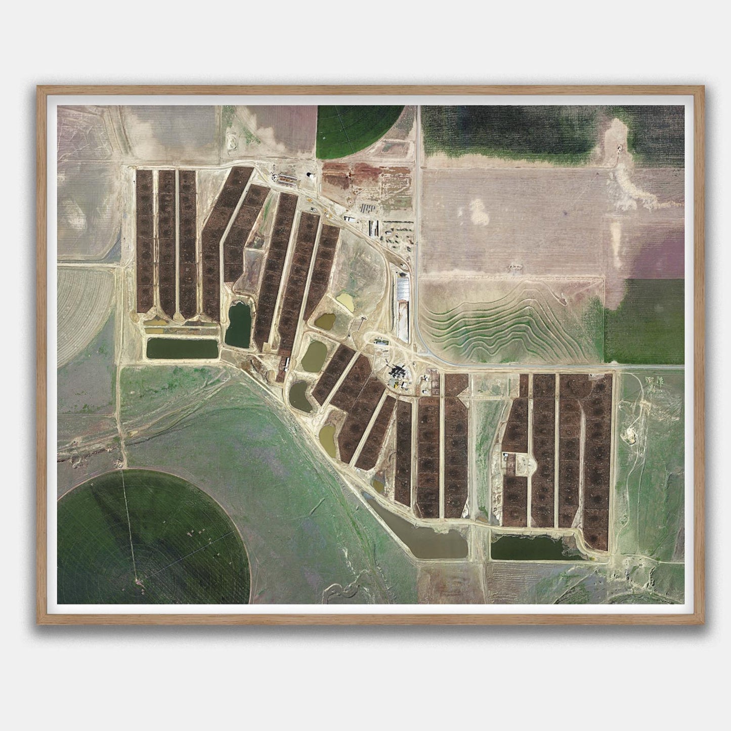 Centerfire Feedyard, Ulysses, TX