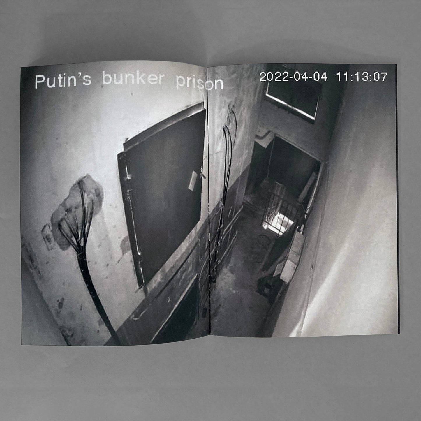 Putin’s Prison